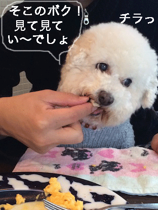 IMG_6735.gif
