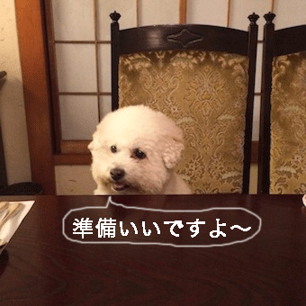 IMG_6781.gif