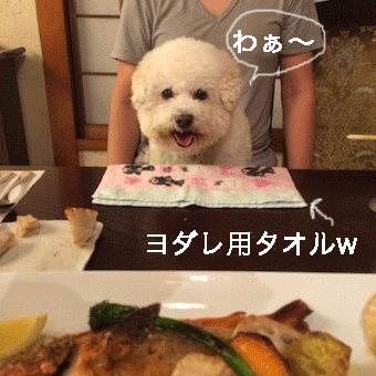 IMG_6794.gif
