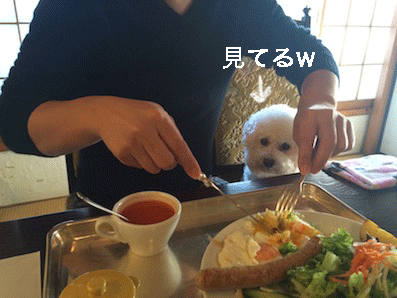 IMG_6813.gif