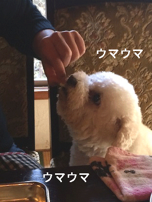 IMG_6818.gif