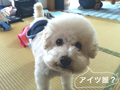 IMG_6951.gif