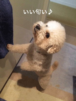 IMG_6996.gif