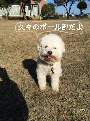 IMG_7046.gif