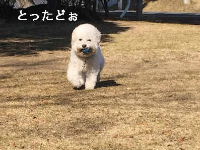 IMG_7047.gif