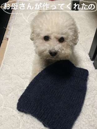 IMG_7055.gif