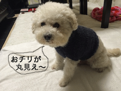 IMG_7057.gif