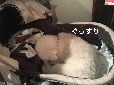 IMG_7151.gif
