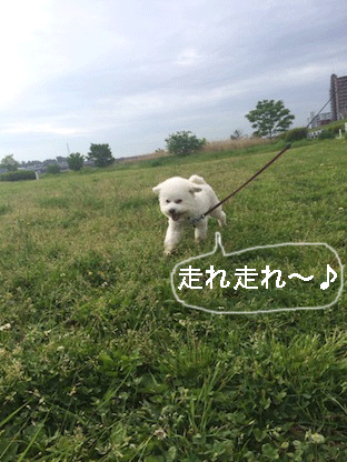 IMG_7541.gif