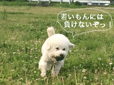 IMG_7547.gif