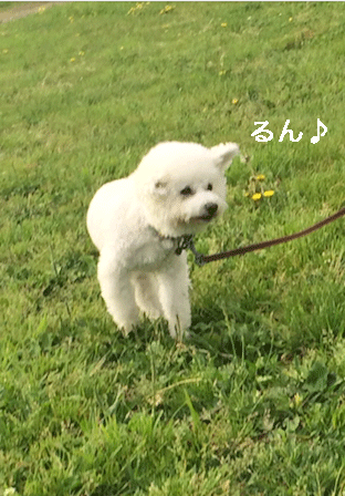IMG_7553.gif