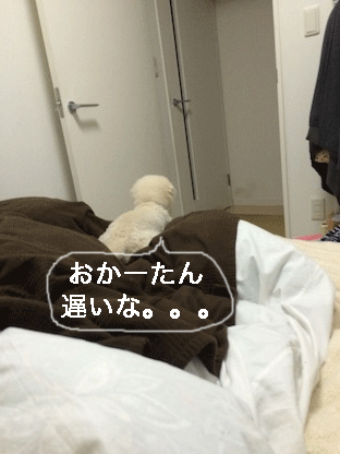 IMG_7601.gif