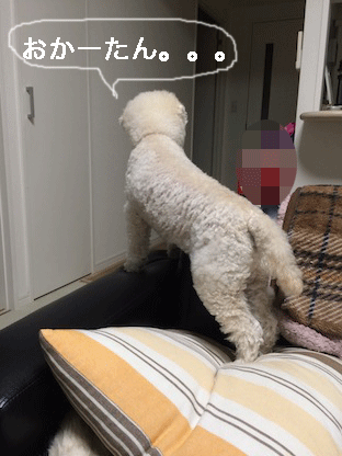 IMG_7602.gif