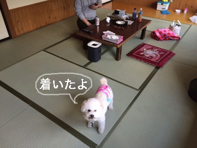 IMG_7694.gif