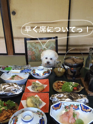 IMG_7722.gif