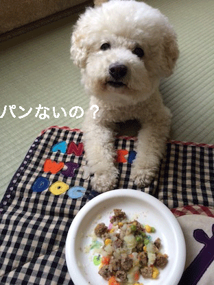 IMG_7734.gif