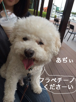 IMG_7766.gif