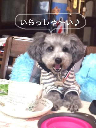 IMG_8316.gif