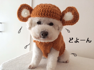 IMG_8572.gif