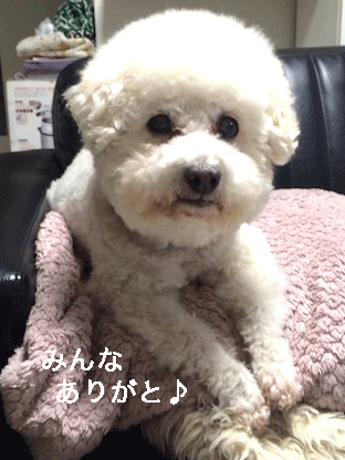 IMG_8947.gif