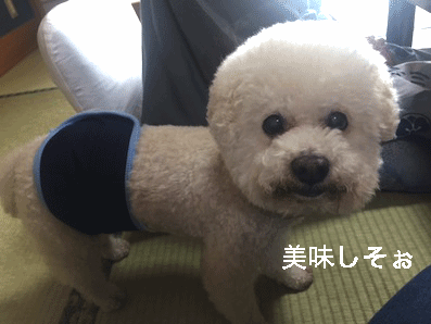 IMG_9103.gif