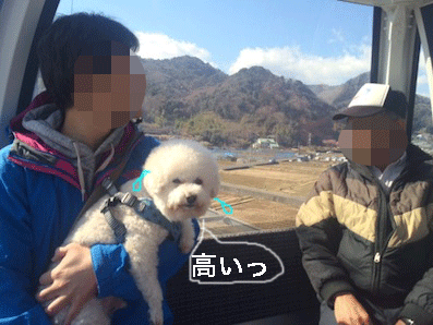 IMG_9110.gif