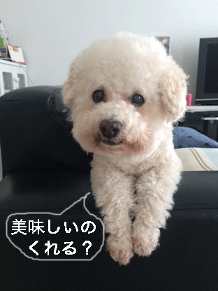 IMG_9390.gif